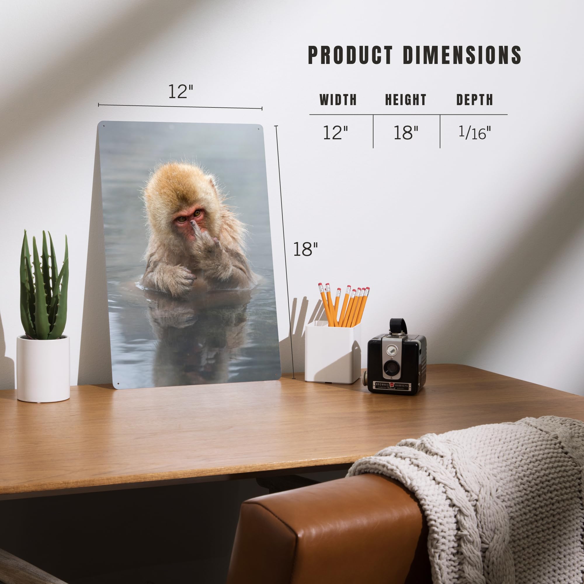 Amazon.com: Lantern Press Japanese Macaque Monkey Showing Middle
